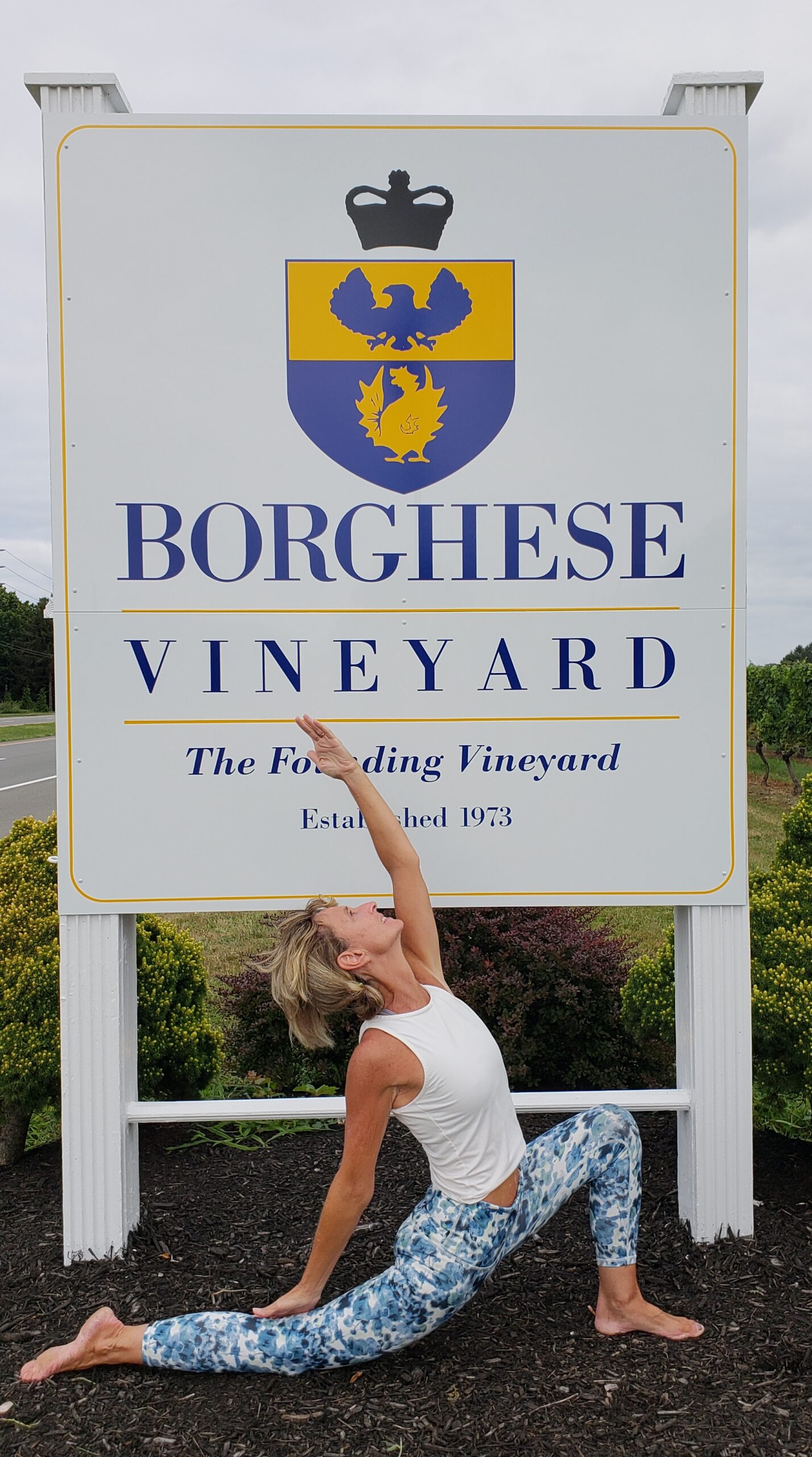 Yoga & Wine at Borghese Vineyard in Cutchogue, LI